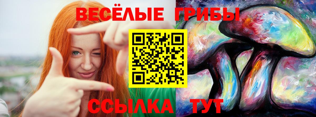 Галлюциногенные грибы Psilocybine cubensis Печора